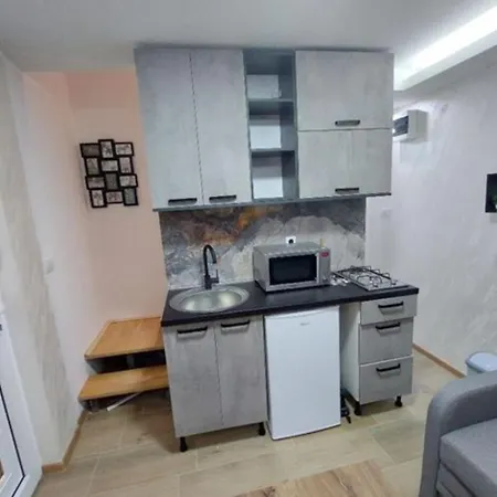 Apartment Radojkovic