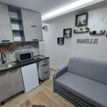 Apartment Radojkovic