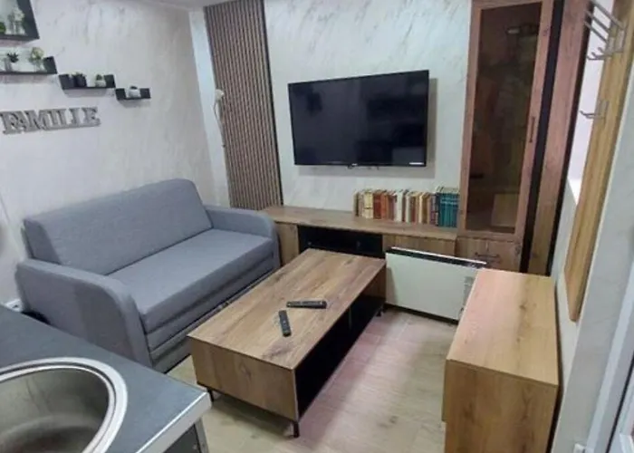 Radojkovic 贝尔格莱德